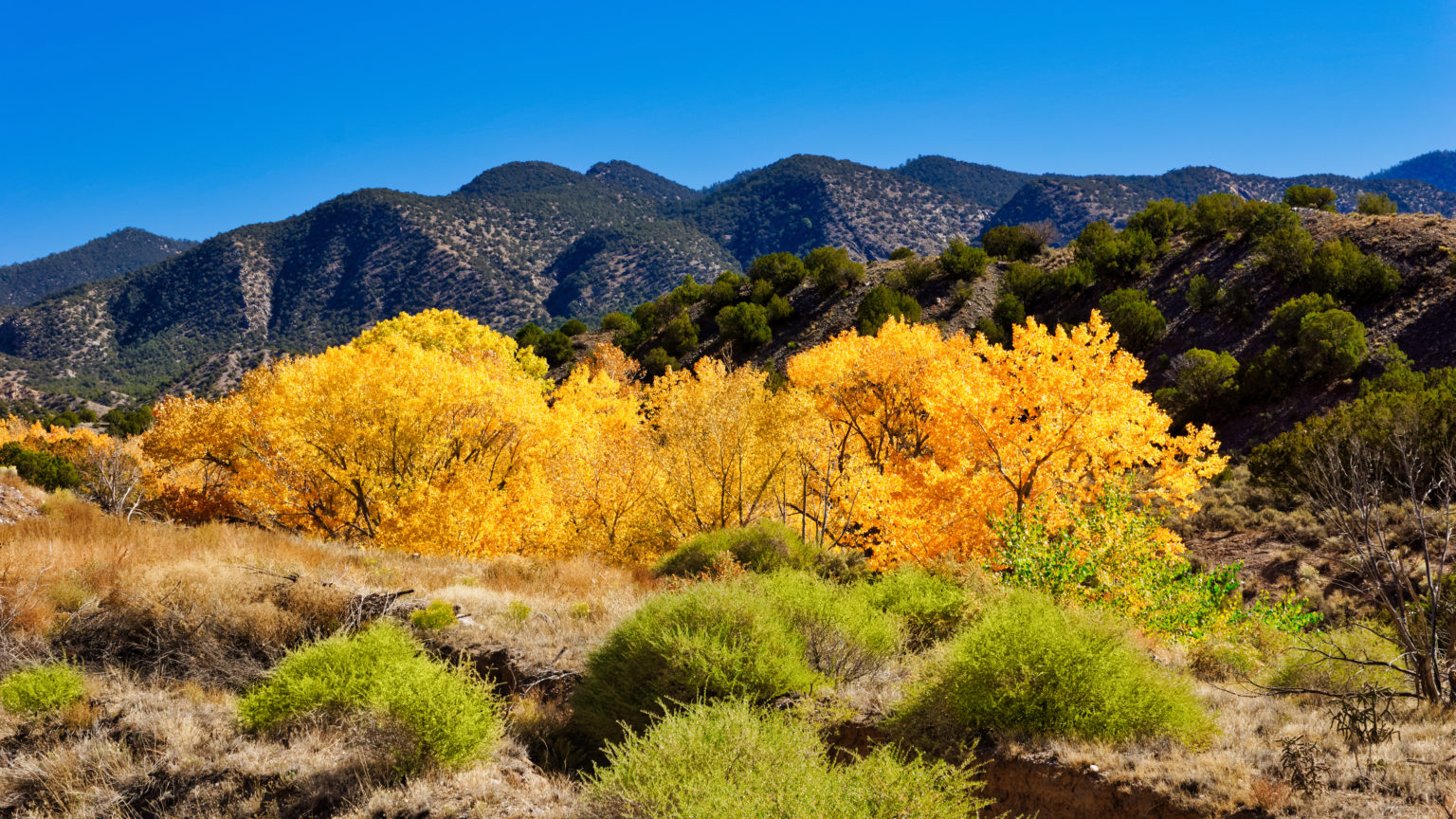 Best Fall Foliage Road Trips in the USA